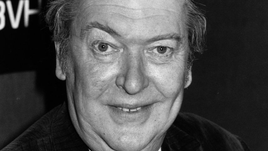 Kingsley Amis, Vater von Martin Amis