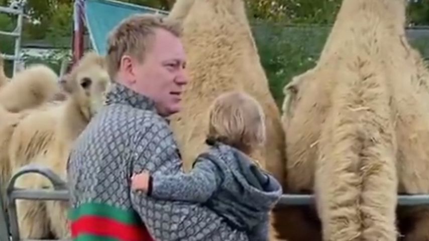 "Zeit verfliegt": Knossis "Bubi" wird schon zwei Jahre alt!