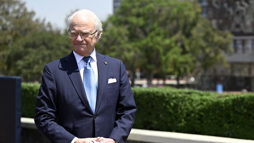 Live-TV-Panne: König Carl Gustaf verkündet falschen Namen