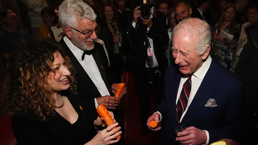König Charles III. bei einem Empfang im Schloss Windsor, April 2025