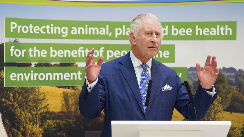 König Charles im März 2023