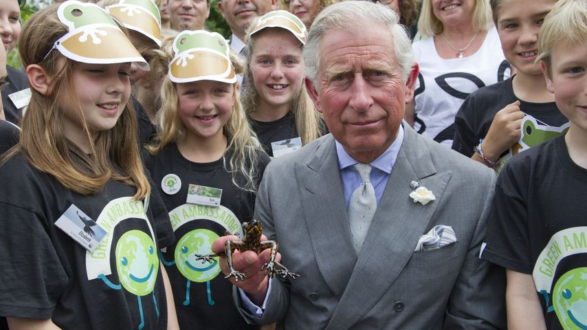 König Charles im Juli 2012