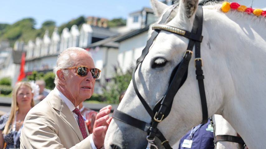 König Charles teilt schmerzhaften Fitnesstipp fürs Reiten