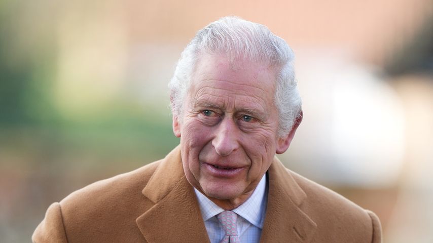 König Charles war nicht bereit dazu, alleinerziehend zu sein