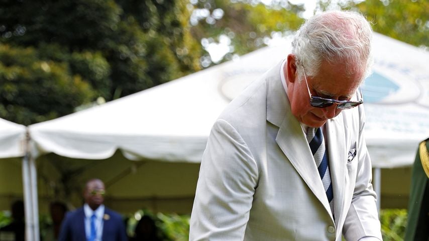 König Charles III., März 2019