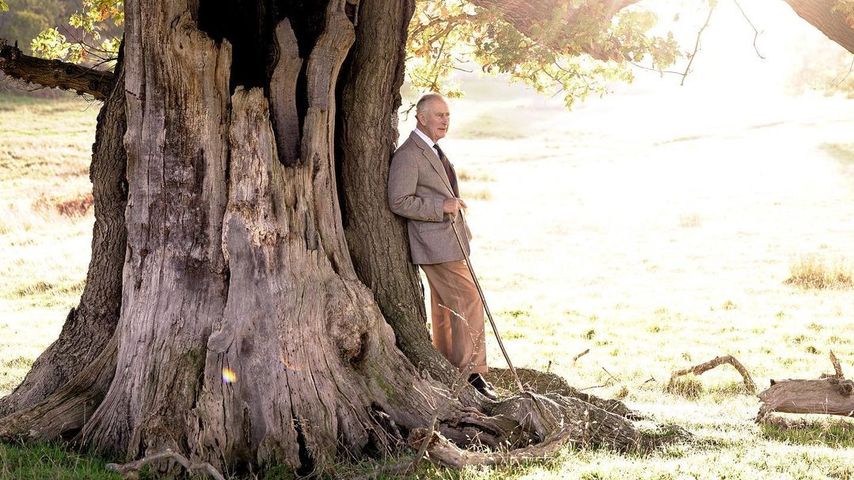 Erster Geburtstag als König: Charles III. wird heute 74