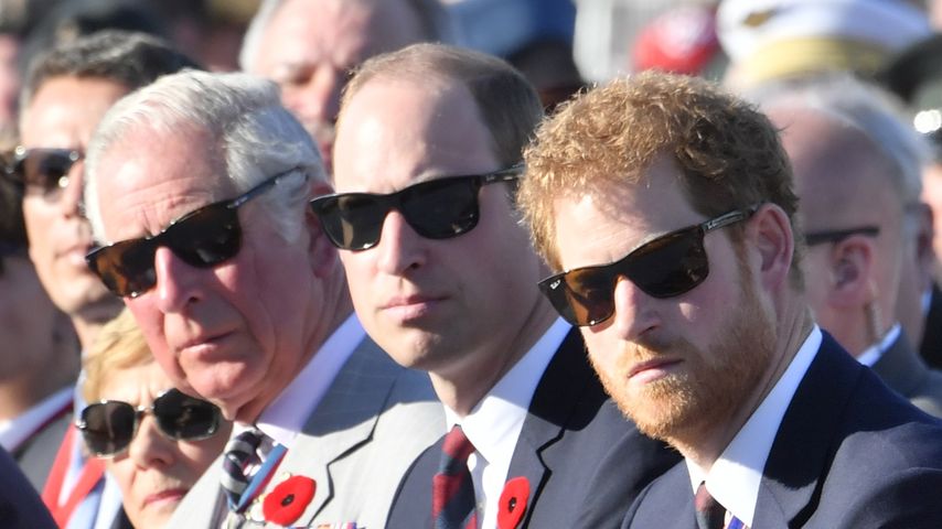 König Charles III., Prinz William und Prinz Harry, 2017