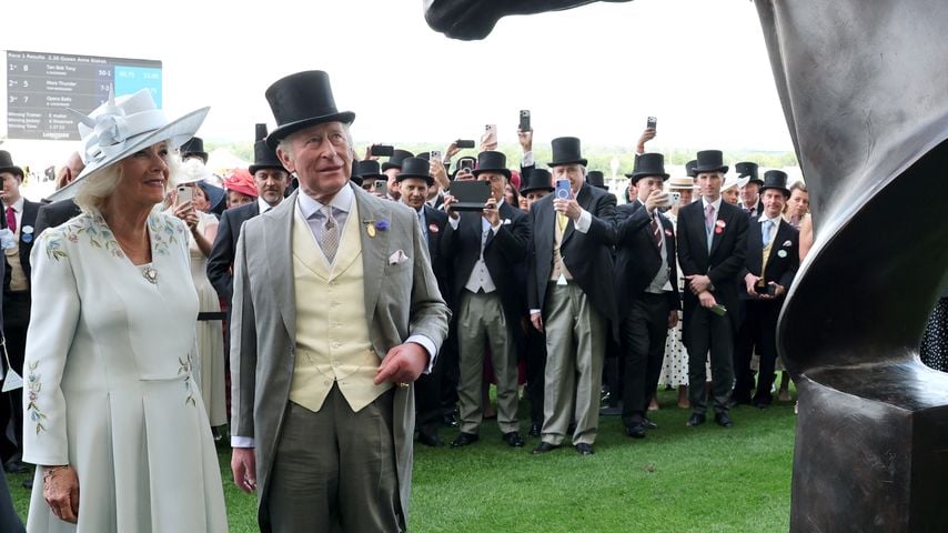 Dieses besondere Pferd gibt Charles jetzt nach Australien ab