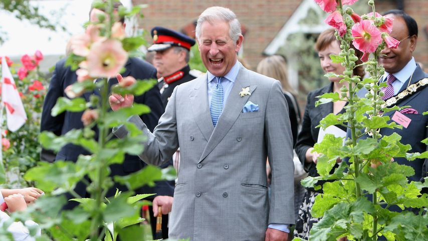 König Charles III.: Will er der Umwelt nun etwas Gutes tun?