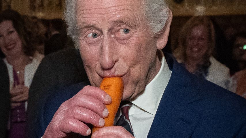 König Charles III. bei einem Empfang im Schloss Windsor, April 2025