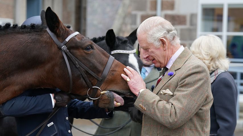 König Charles besucht die Pferde der Queen in Sandringham
