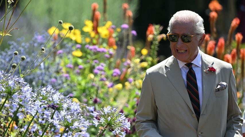 König Charles, Juli 2025