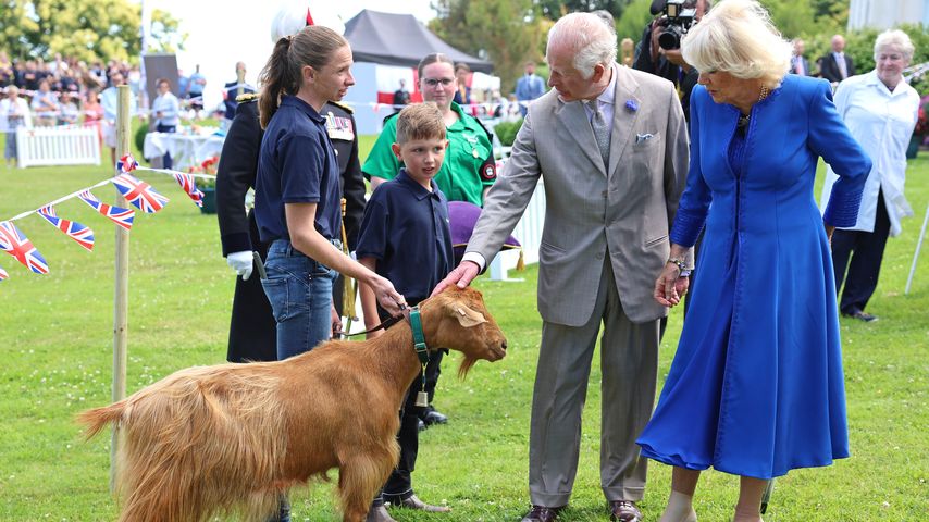 König Charles und Königin Camilla mit Ziege Summerville Tamsin