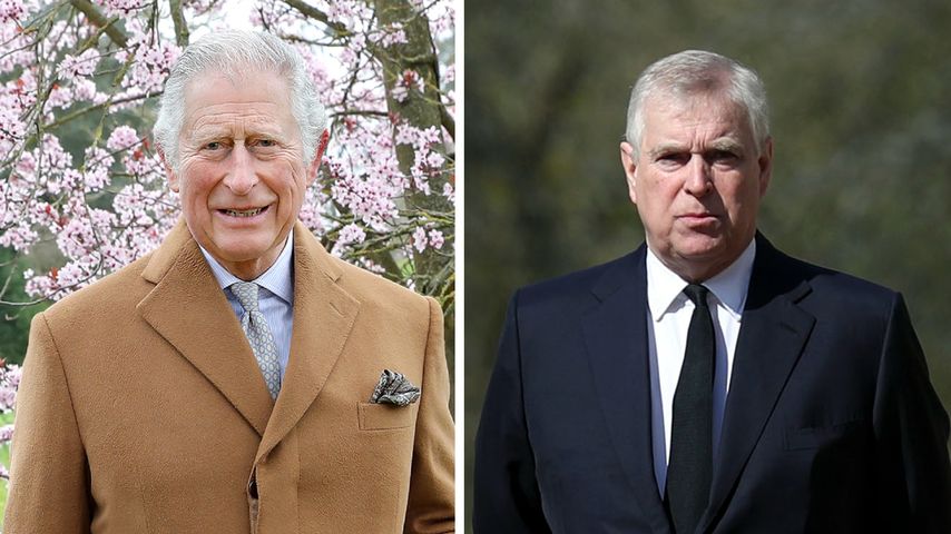 König Charles will Andrew mehr ins royale Leben integrieren
