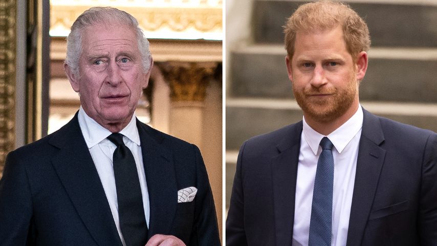 "Mehr Frustration": Verliert König Charles Geduld mit Harry?
