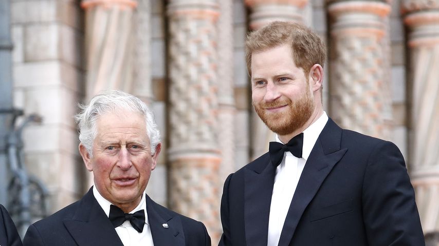 Will König Charles Friedensgespräche mit Prinz Harry führen?
