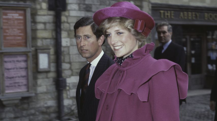 Führte König Charles eine Kampagne gegen Prinzessin Diana?