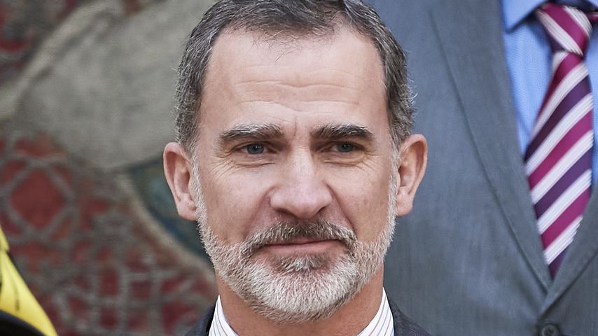 König Felipe im El Pardo Palast