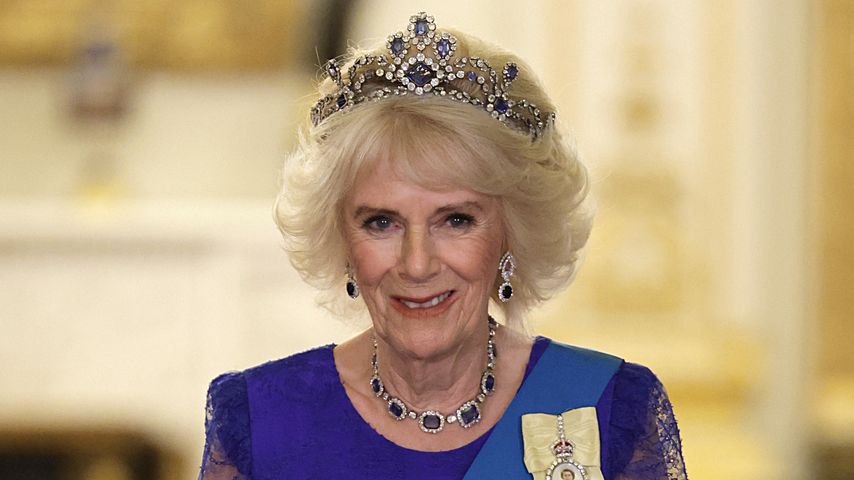 Königsgemahlin Camilla im November 2022