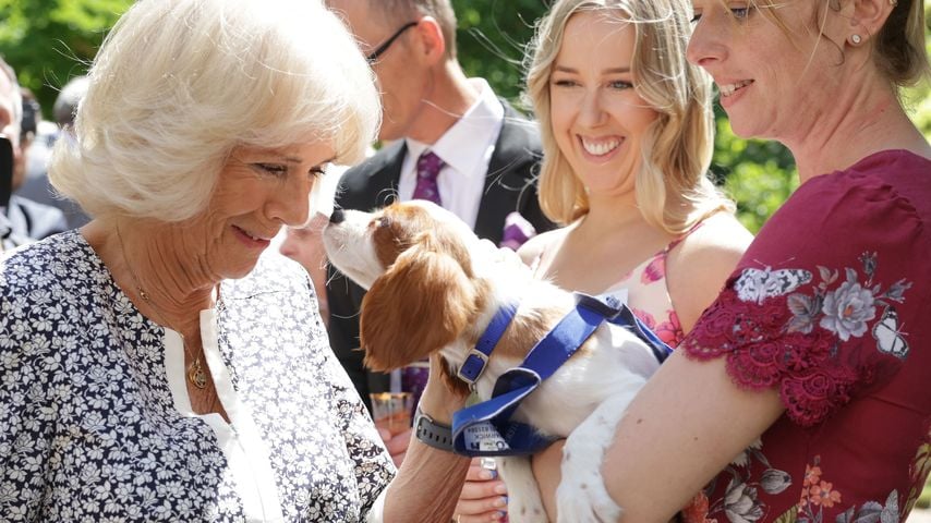 Königin Camilla im Juli 2022 in London