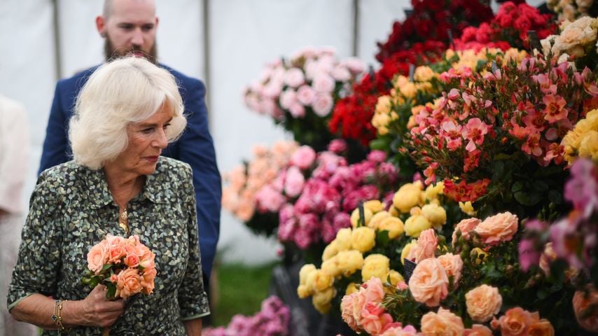 Königin Camilla, Juli 2023