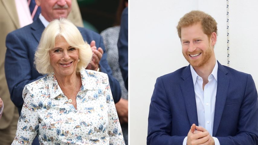 Camilla soll Harry seine Aussagen in "Spare" nie verzeihen