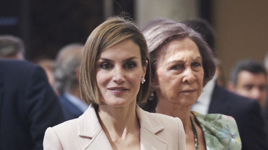Königin Letizia bei den "Royal Trust Disability Reina Sofia 2014 Awards" im Jahr 2015