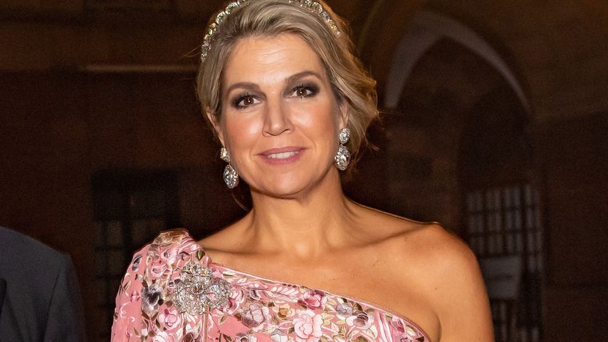 In Indien: Königin Máxima begeistert in rosafarbener Robe!