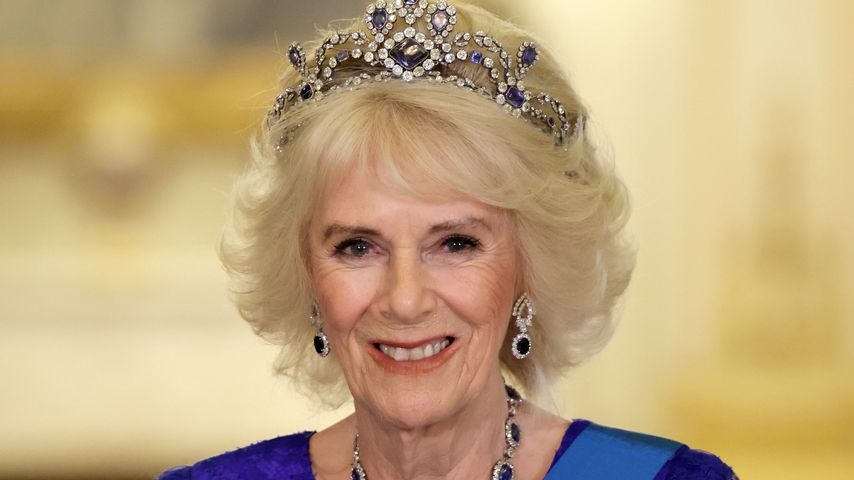 Königsgemahlin Camilla im November 2022
