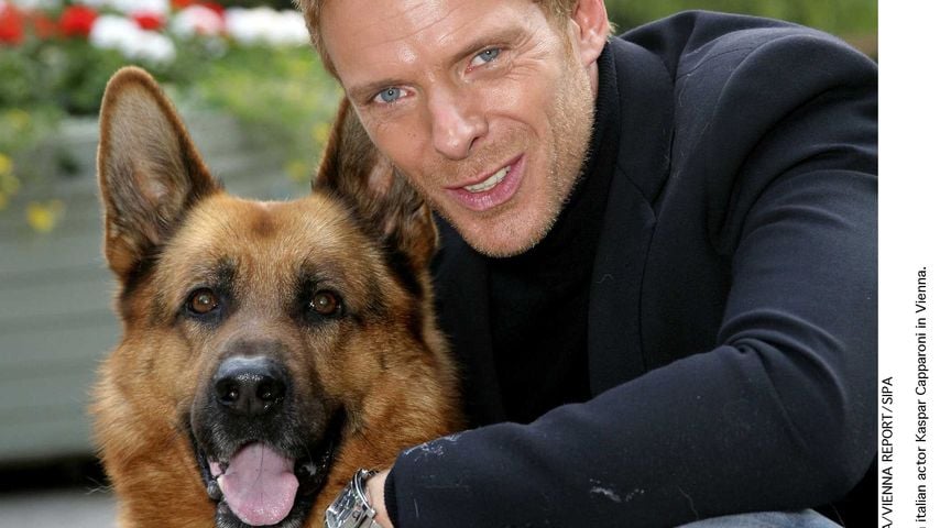 Kommissar Rex kommt zurück: So wird die Kultserie neu belebt