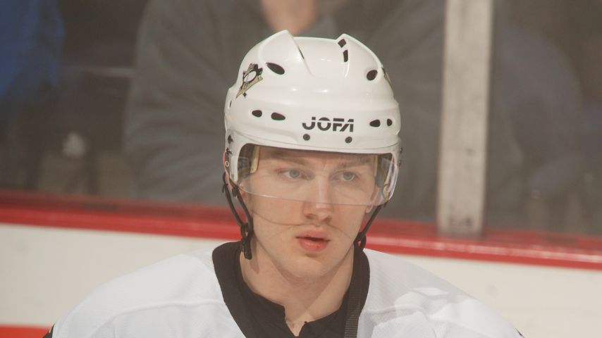 Konstantin Koltsov, 2006