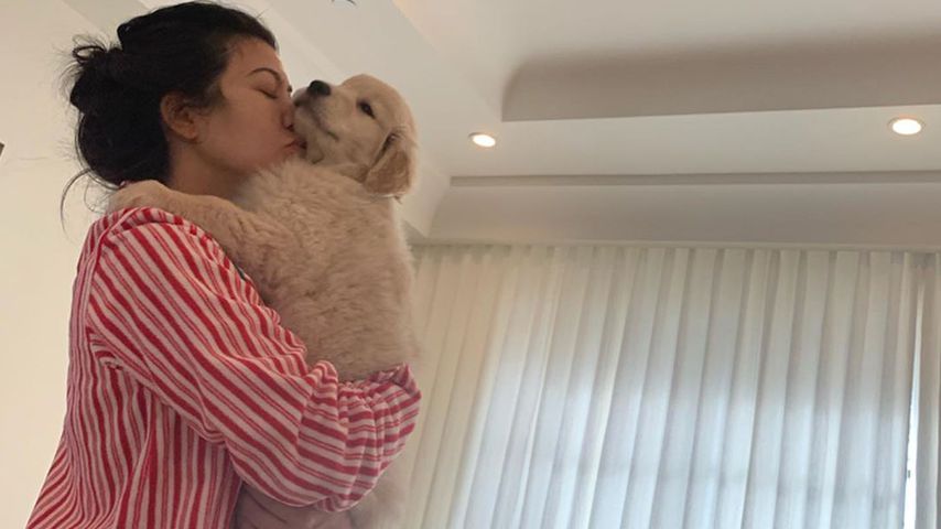 Auf Namenssuche: Kourtney Kardashian schenkt Kids Welpen