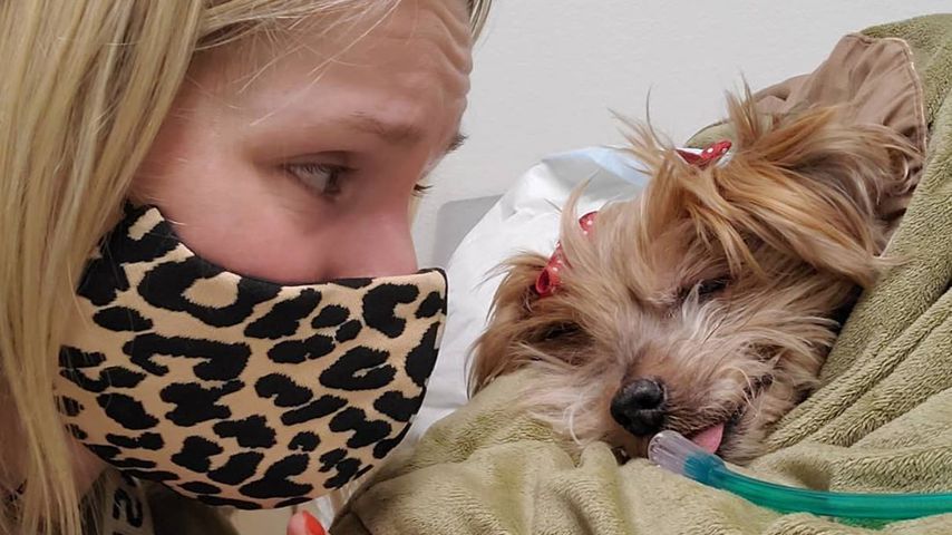 Kristen Bell und ihre Hündin Barbara