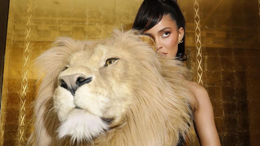 Kylie Jenner, Unternehmerin