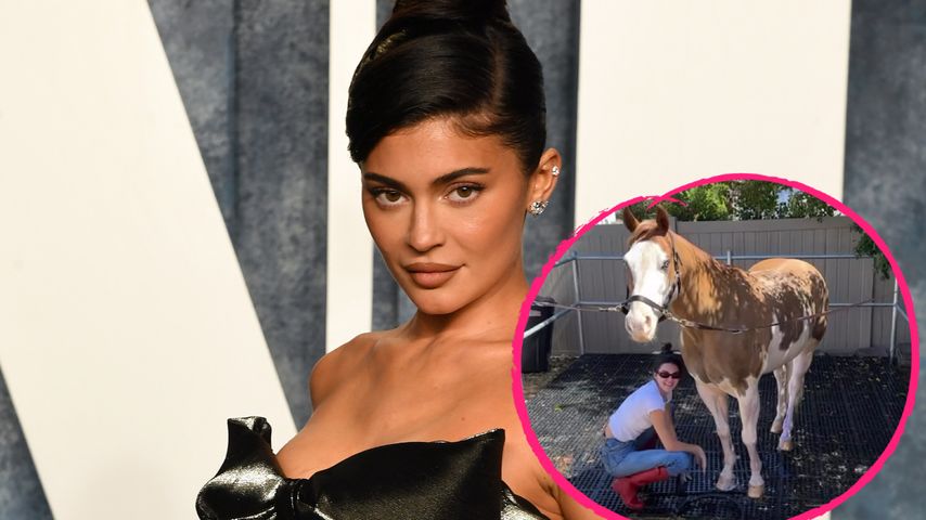 Pferdepflege: Kylie Jenner macht sich über Kendall lustig