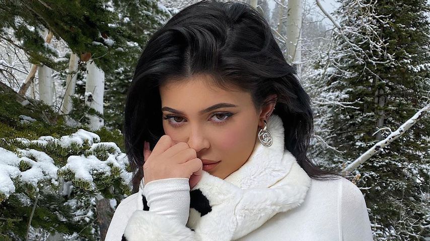 Kylie Jenner, Unternehmerin und Reality-TV-Star