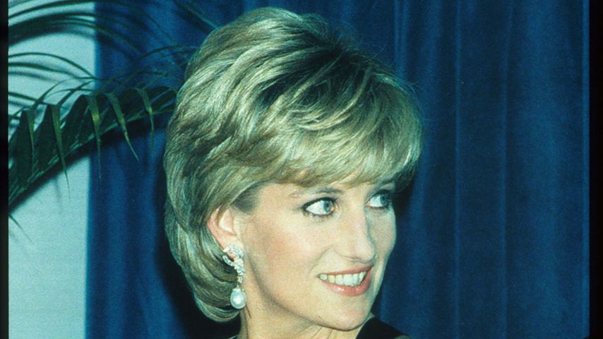 Lady Diana, Dezember 1995