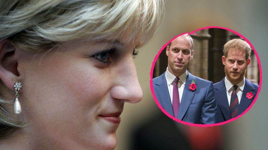 Dianas Wunsch: William und Harry sollen füreinander da sein!