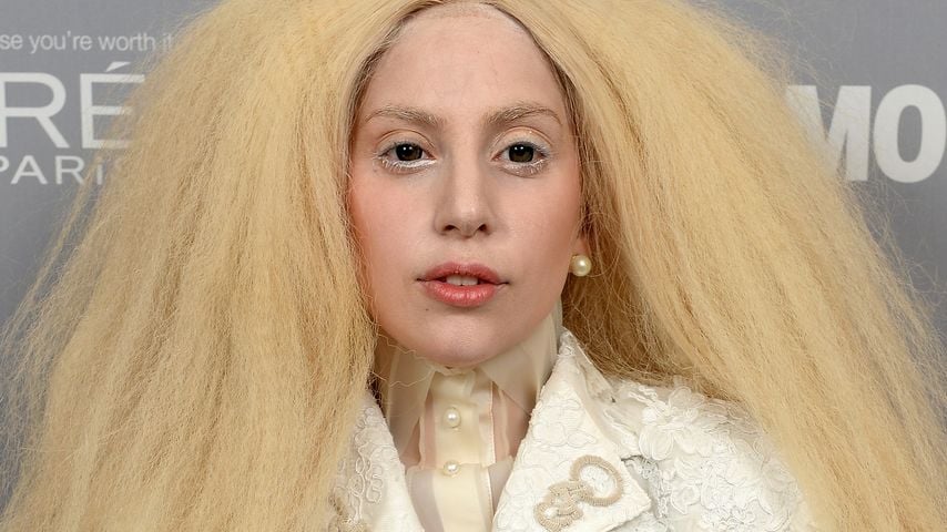 Profi Taylor: Deshalb war GaGa-Antrag perfekt!