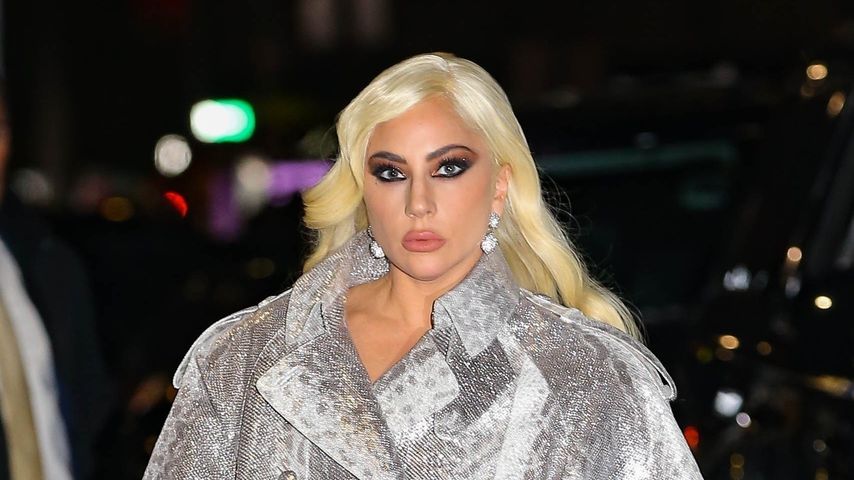 Lady Gagas Hunde entführt: Verdächtiger versehentlich frei