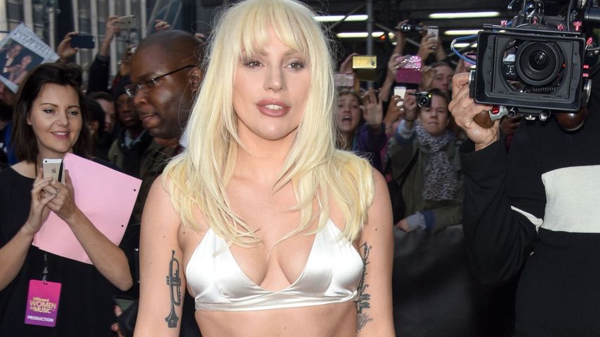 Weihnachts-Wuff: Lady GaGa verkleidet ihre Vierbeiner