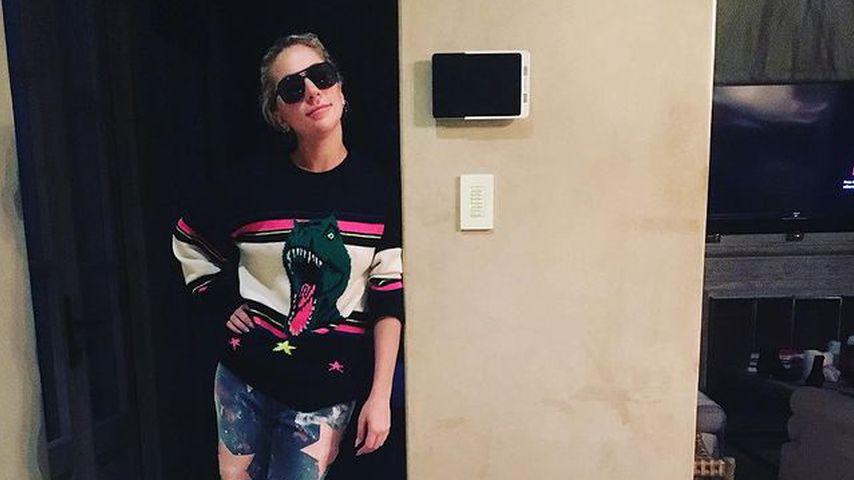 Lady Gaga mit ihren Französischen Bulldoggen