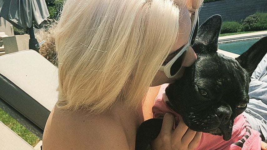 Lady Gaga mit ihrer Bulldogge Miss Asia