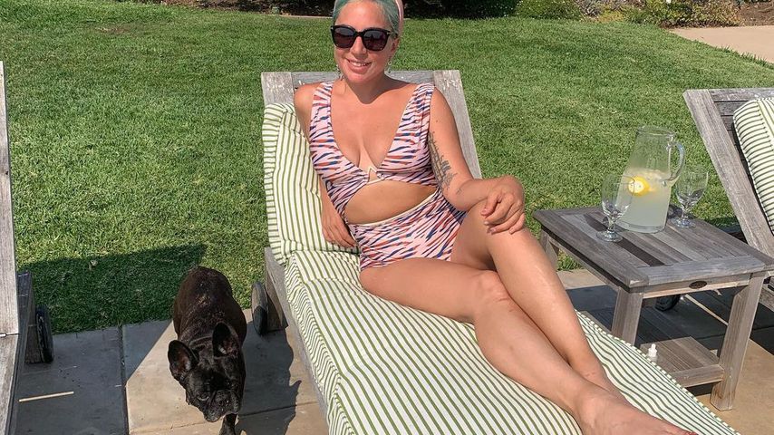 Lady Gaga und ihr Hund im August 2020