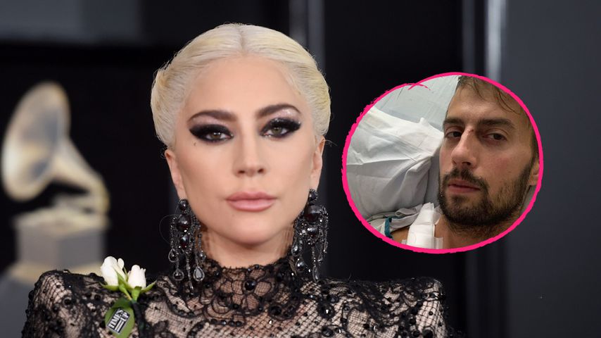 Nach Angriff: Lady Gagas Hundesitter meldet sich aus Klinik