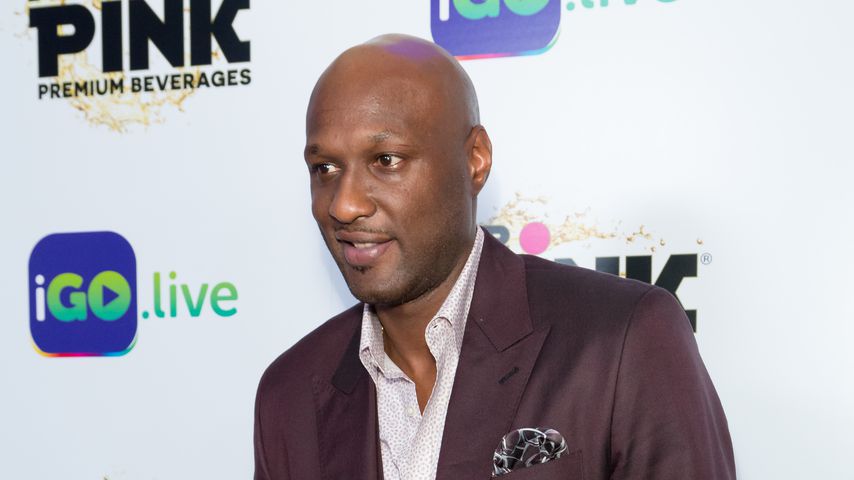 Lamar Odom, Basketballer