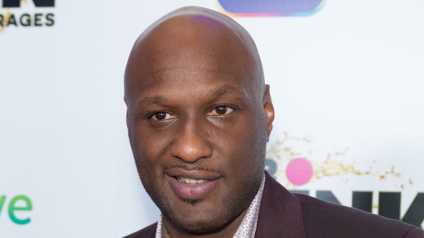 Lamar Odom, Ex-NBA-Profi
