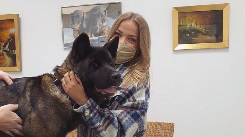 Pietro und Laura sind getrennt: Das wird aus ihrem Hund!