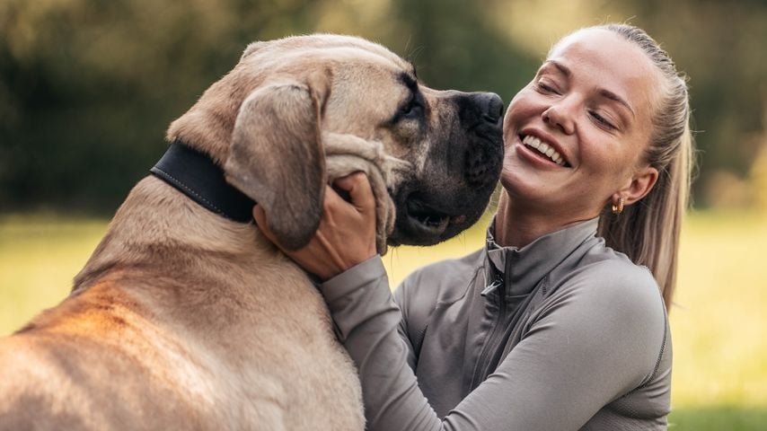 Nach Trennung: Laura Maria Rypa feiert Geburtstag von Hund