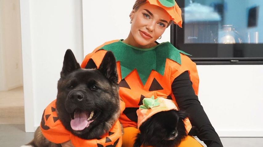 Halloween: Schwangere Laura Maria Rypa posiert als Kürbis